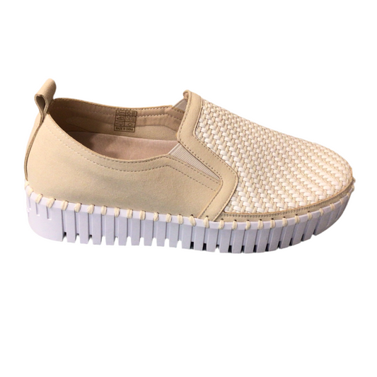 Tulip 3876 | ILSE JACOBSEN