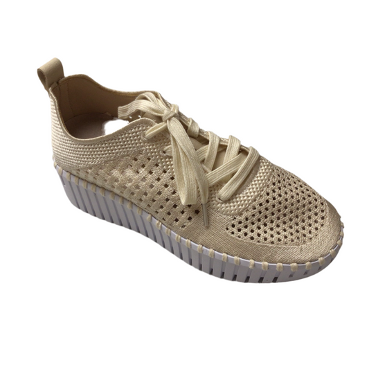 Tulip 4271 | ILSE JACOBSEN