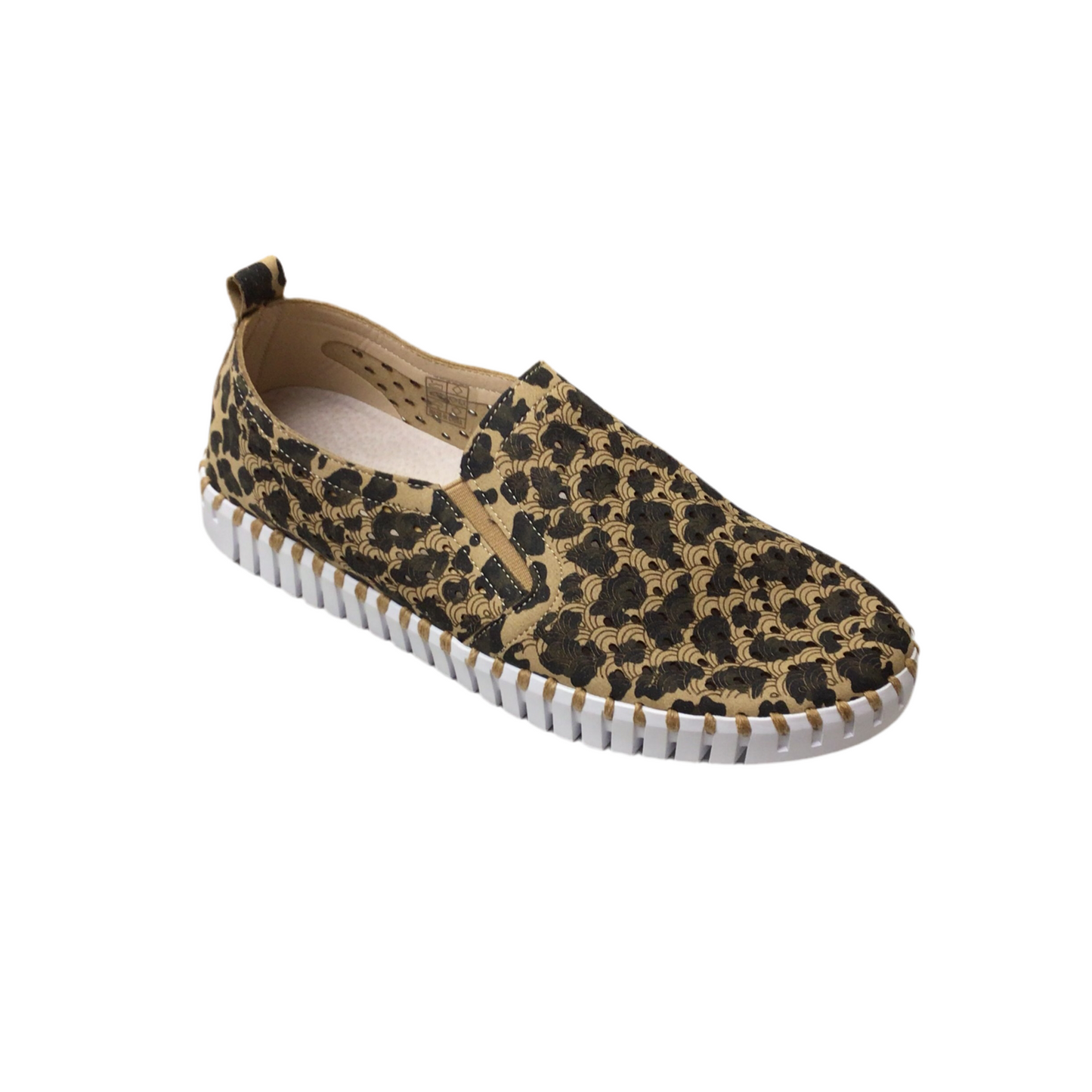 Tulip 3972 | ILSE JACOBSEN