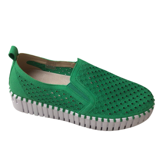 Tulip 141| ILSE JACOBSEN