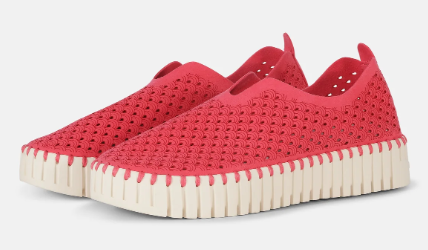 Tulip 139 | ILSE JACOBSEN