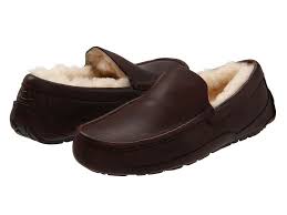 Ascot | UGG Mens