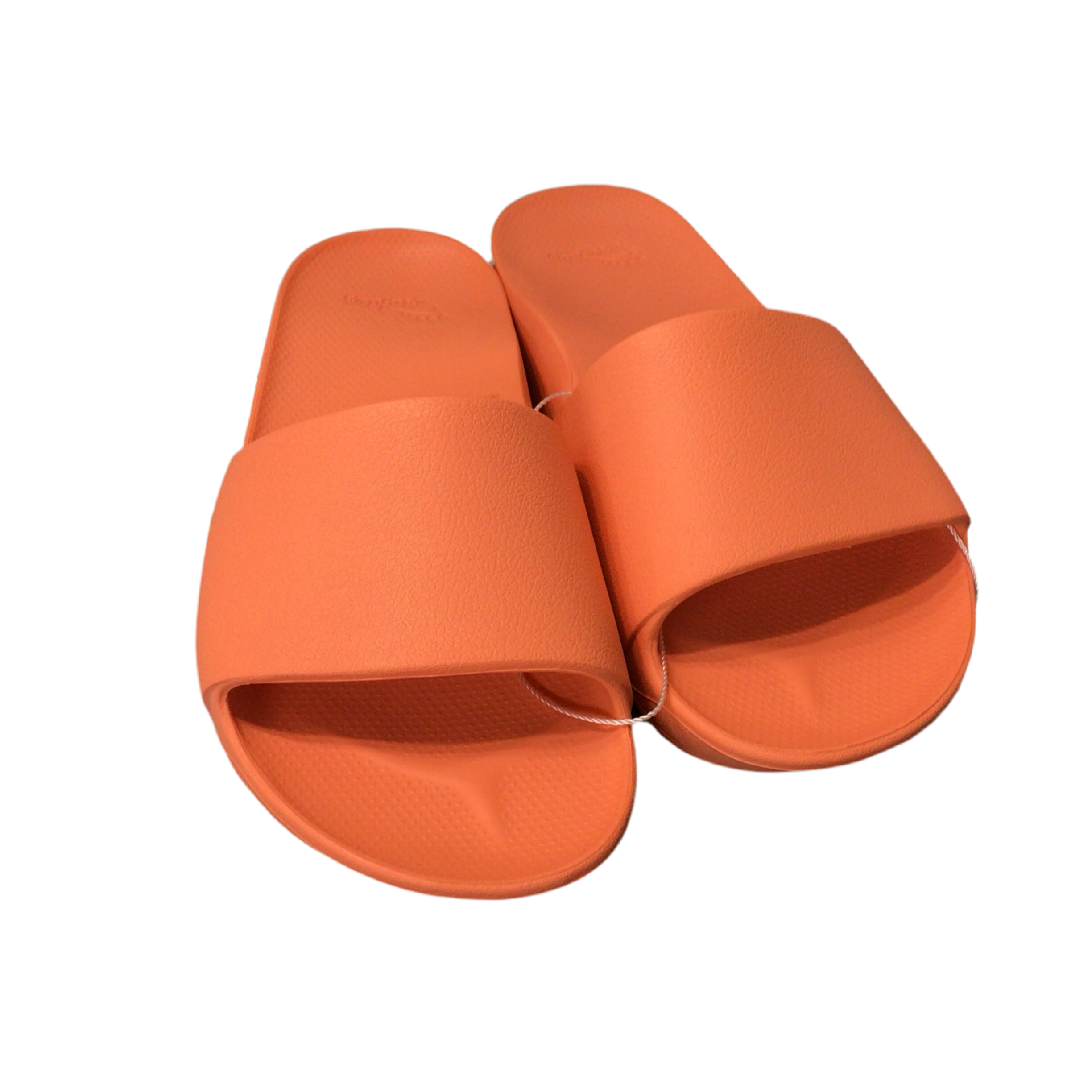 Arch Support Slides | ARCHIES
