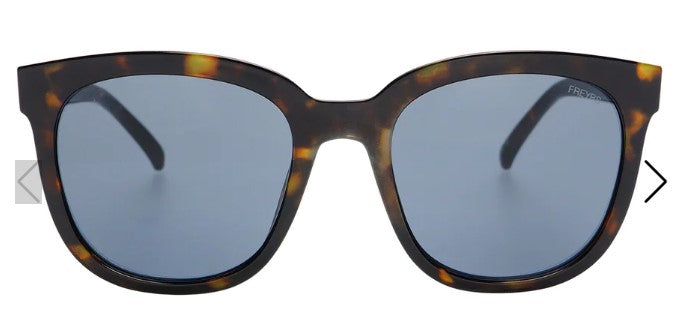 Taylor Tortoise | FREYRS