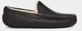 Ascot  | UGG Mens