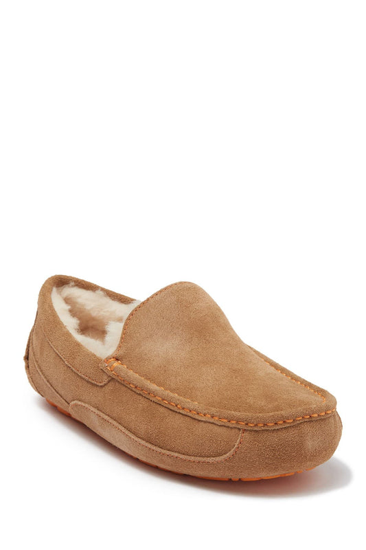 Ascot Chestnut | UGG Mens